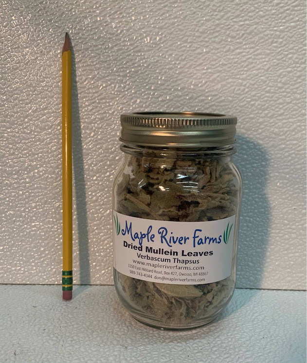 4/5th oz Jar of Dried Mullein Leaves